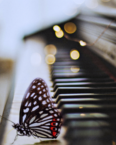 La creatividad que nos salva , una mariposa sobre un piano
